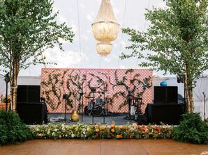 Climbing Vines on Bright Trellis as Reception Stage Backdrop, Garden