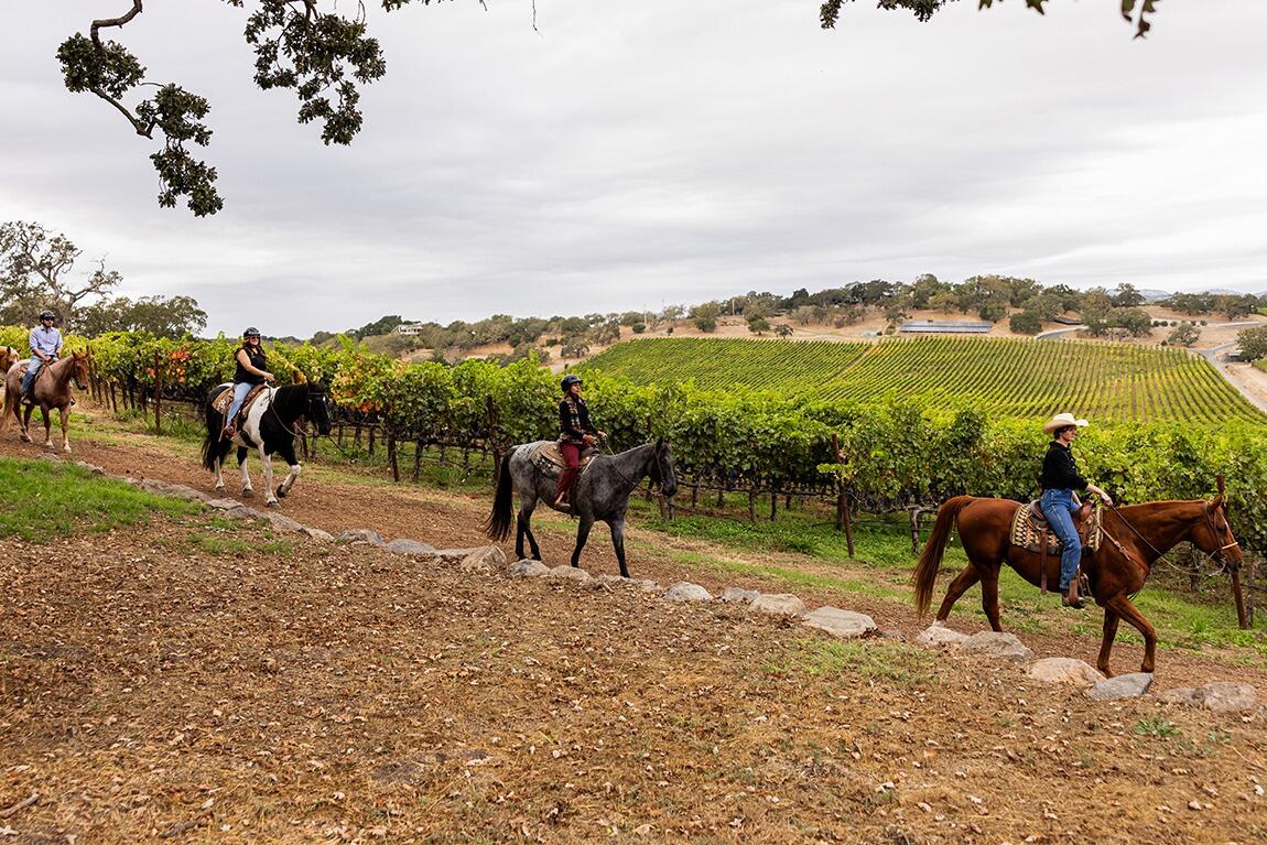 Picture of Napa Valley Trail Rides