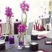 Modern Orchid Centerpieces