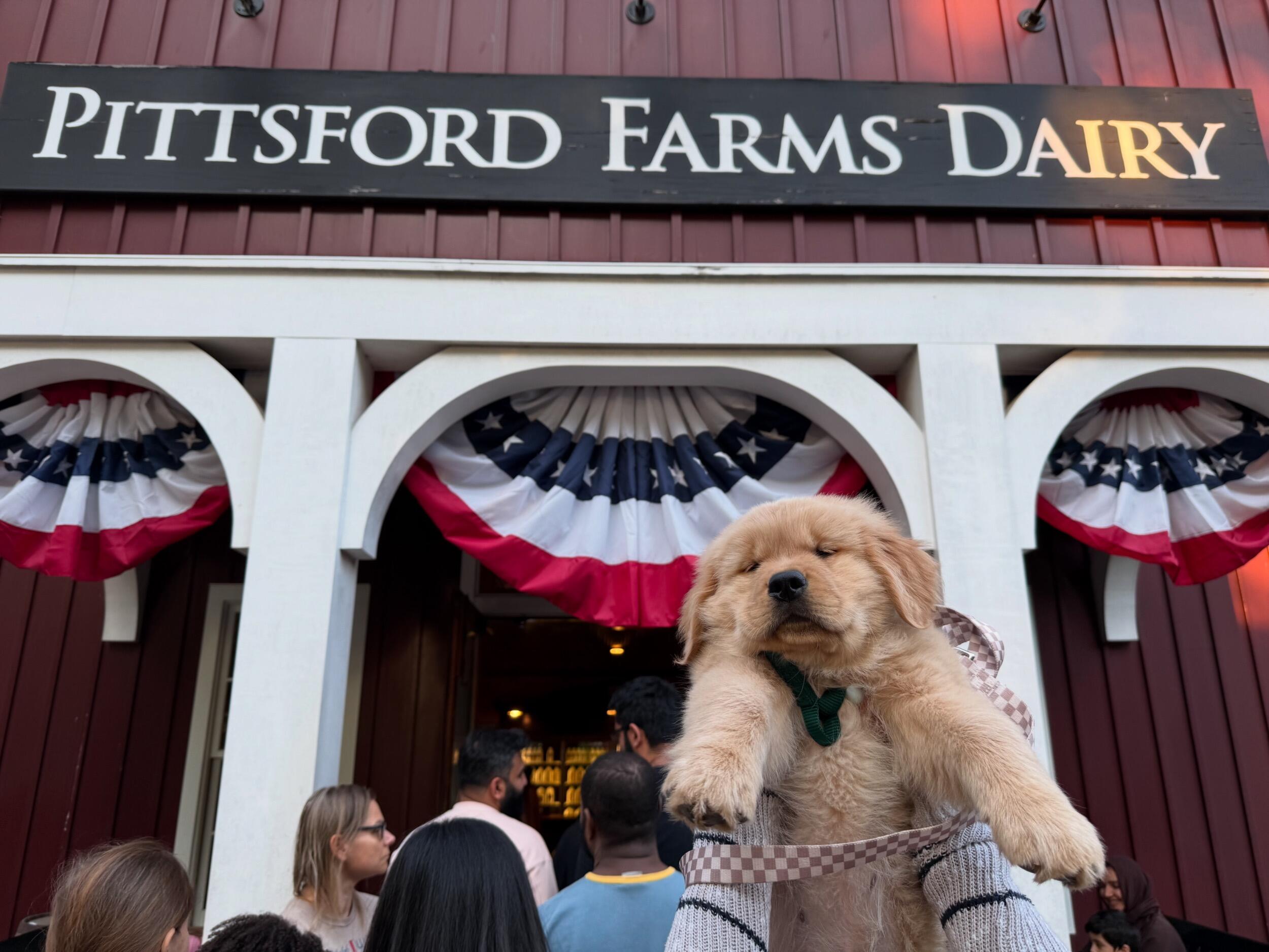 Picture of Pittsford Farms Dairy