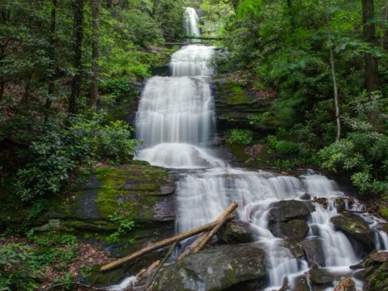 Picture of DeSoto Falls Recreation Area