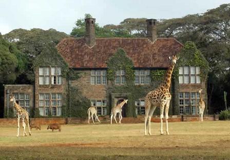 Picture of Giraffe Manor