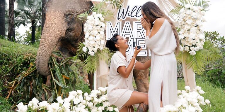 Cheyenne & Meena Home Page Banner