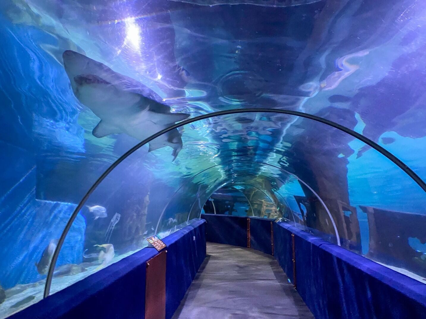 Picture of Greater Cleveland Aquarium