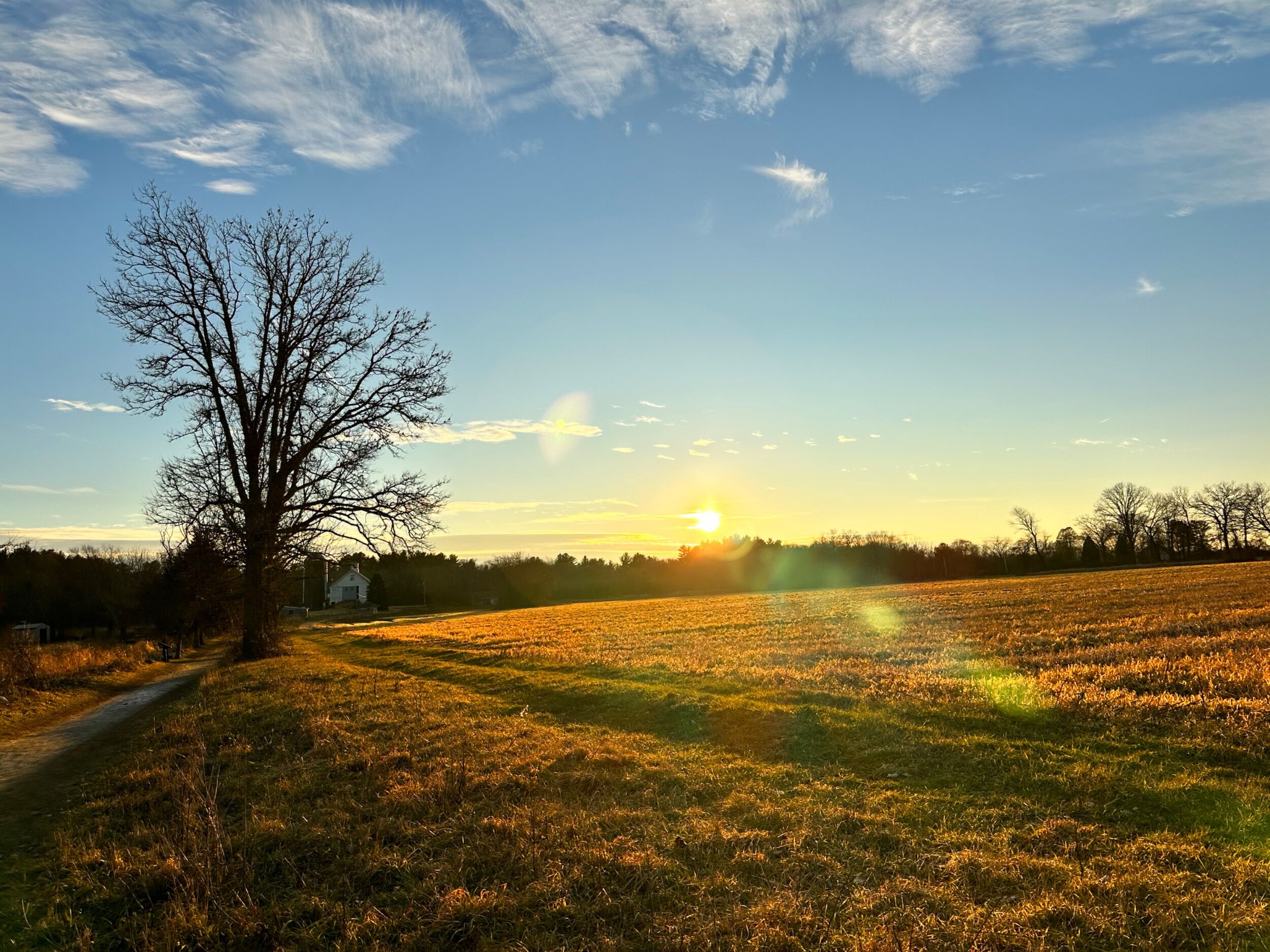 Picture of Minute Man National Historical Park