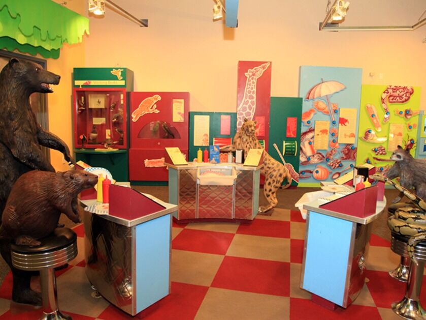Picture of Long Island Children's Museum
