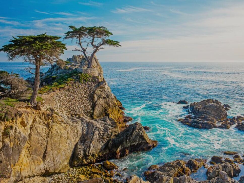 Picture of 17 Mile Drive Tour