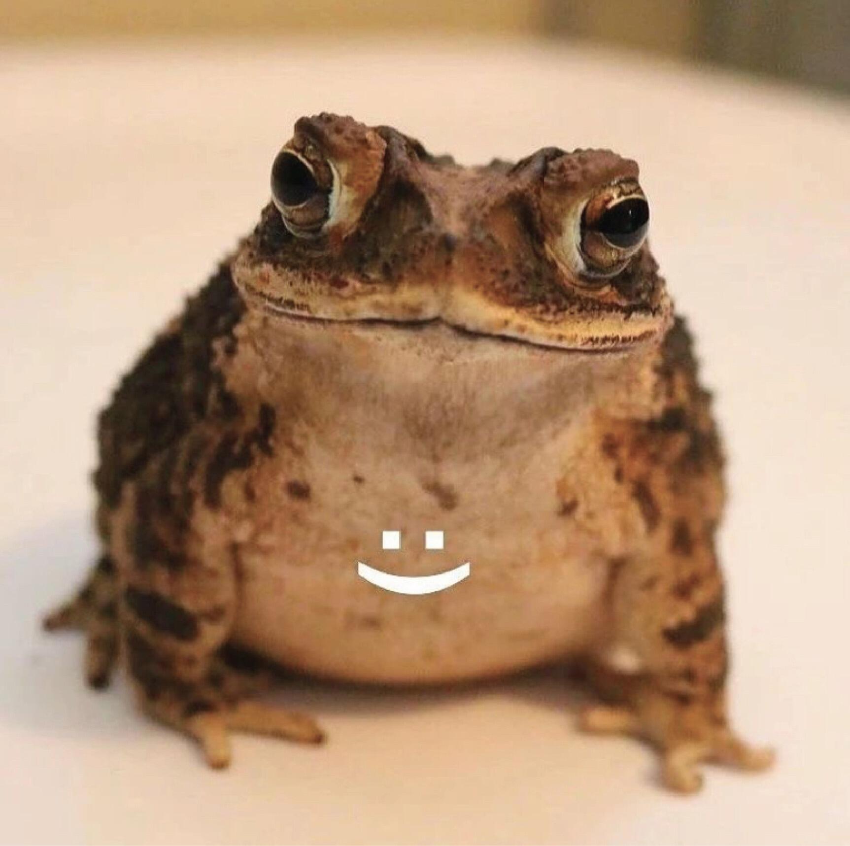 The frogman/frogboy nickname was officialy cemented in Katie's phone. 