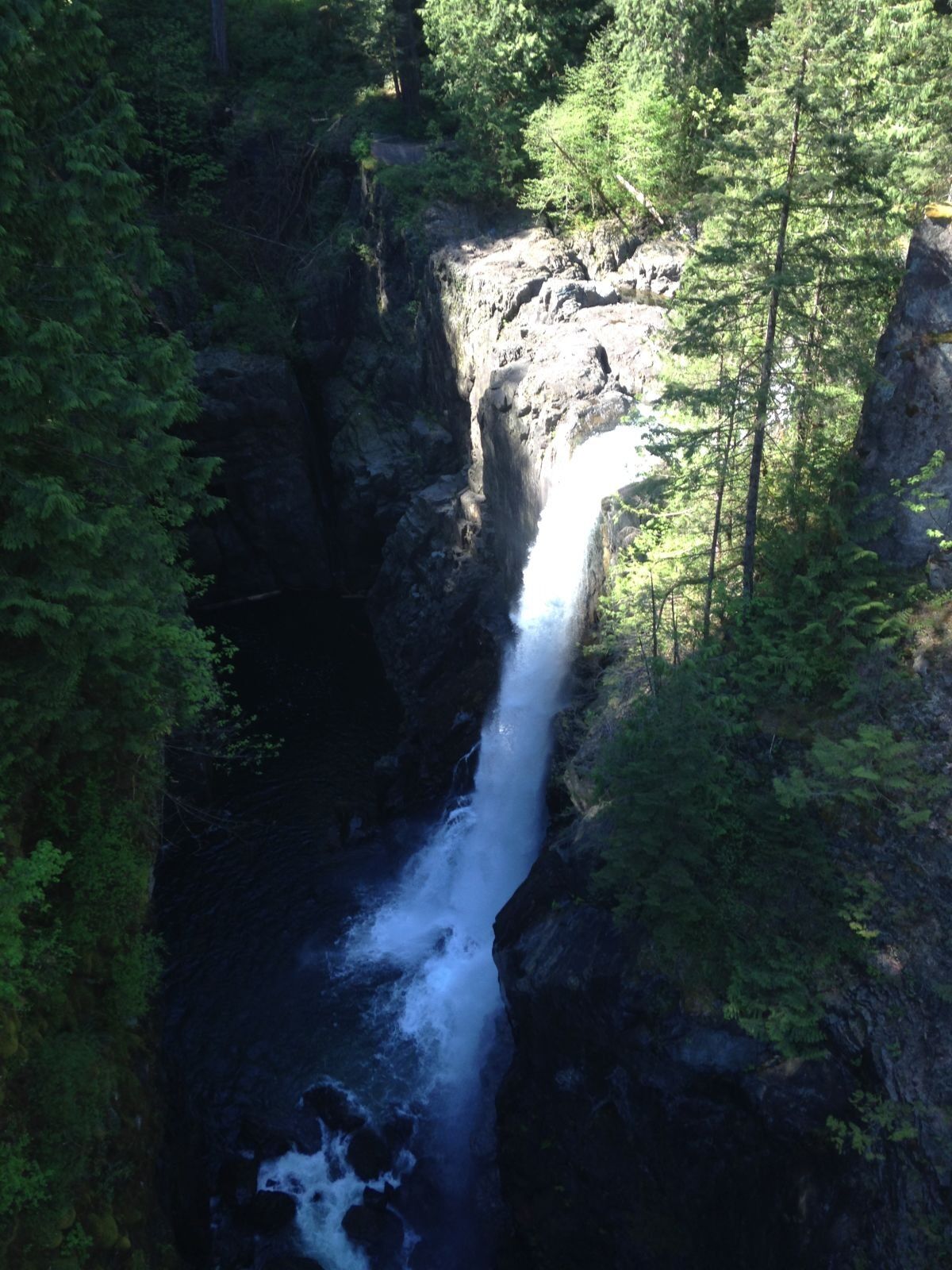 Picture of Elk Falls Suspension Bridge