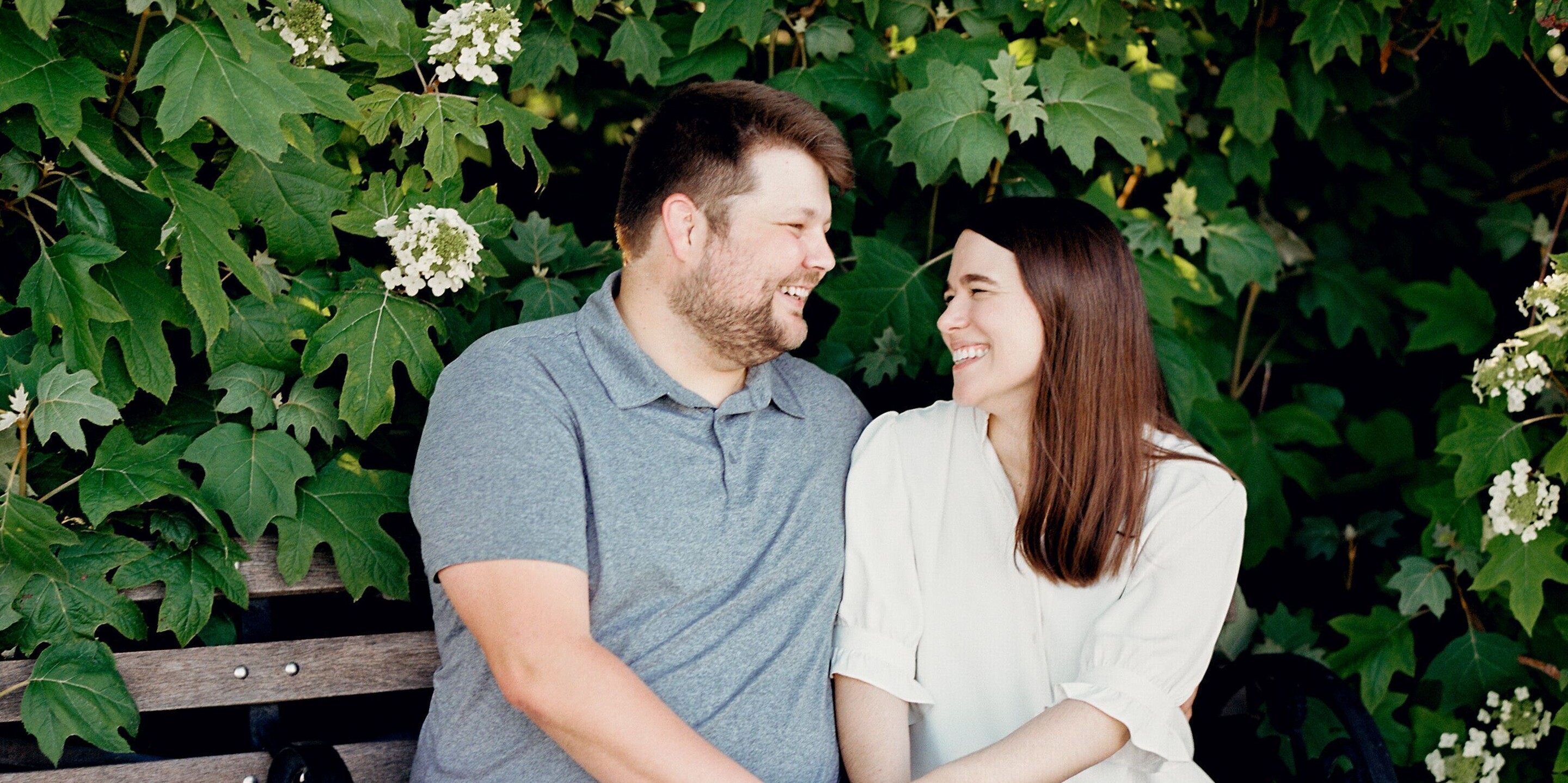 Taylor & Regan Home Page Banner