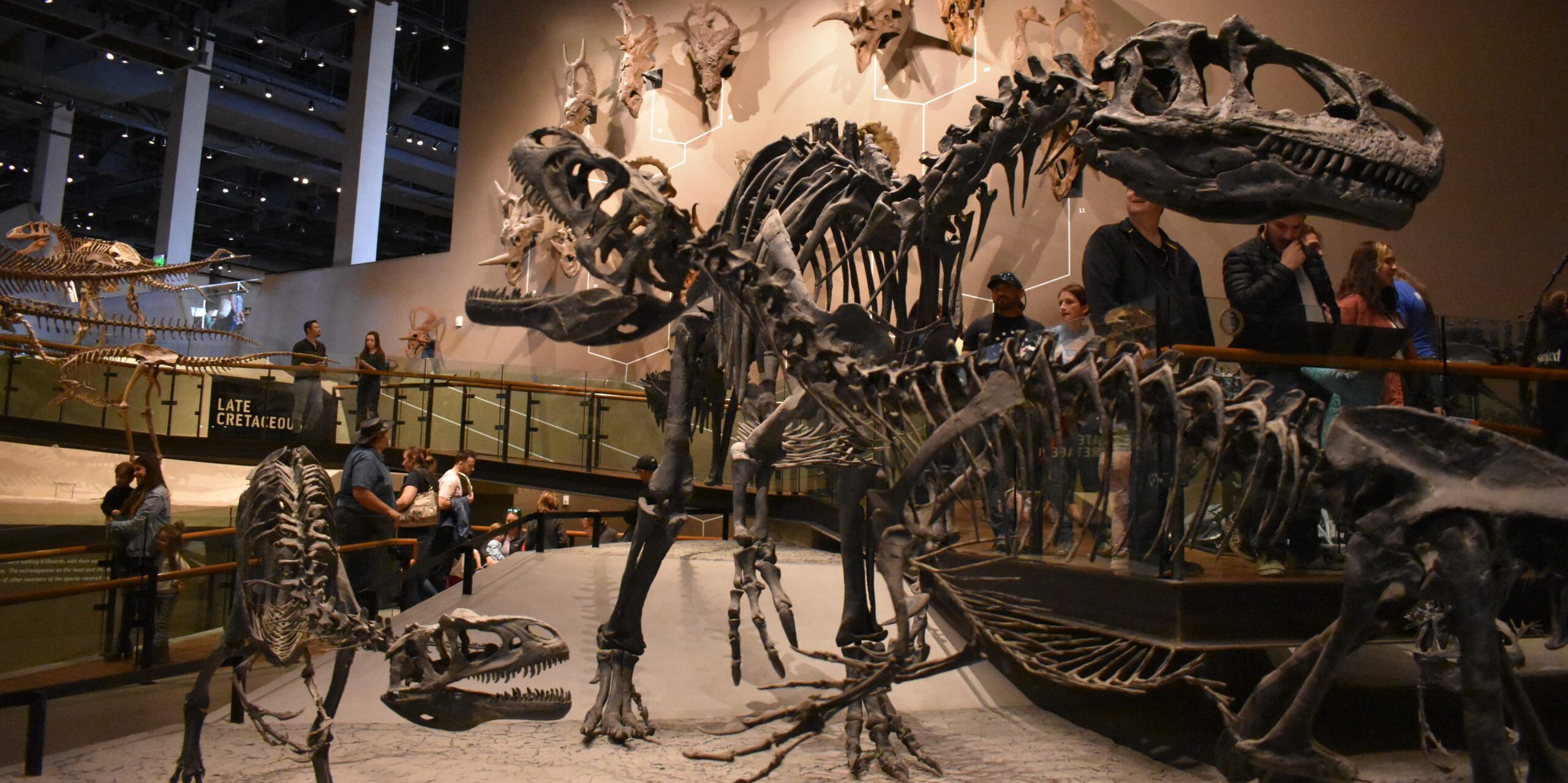 Picture of Natural History Museum of Utah