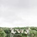 Romantic Birchwood Wedding Arbor