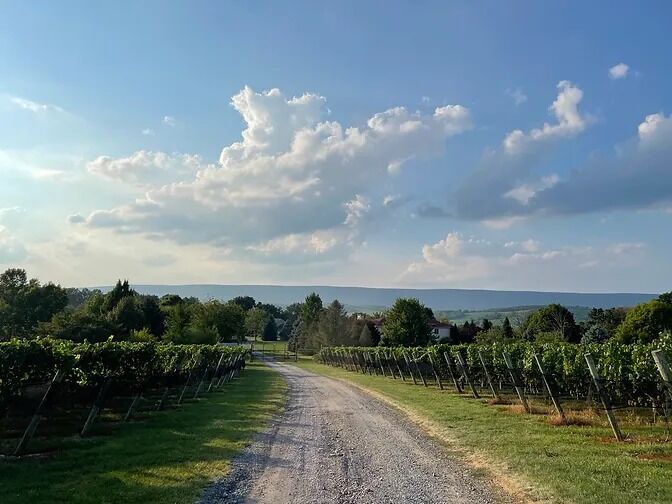 Picture of The Cellar by Stony Run Winery