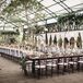 Formal Reception with Chiavari Chairs at Planterra Conservatory in Detroit, Michigan