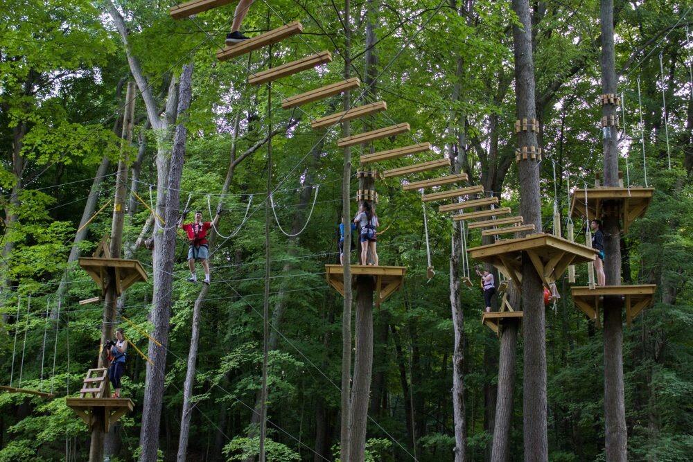 Picture of TreeRunner Grand Rapids Adventure Park