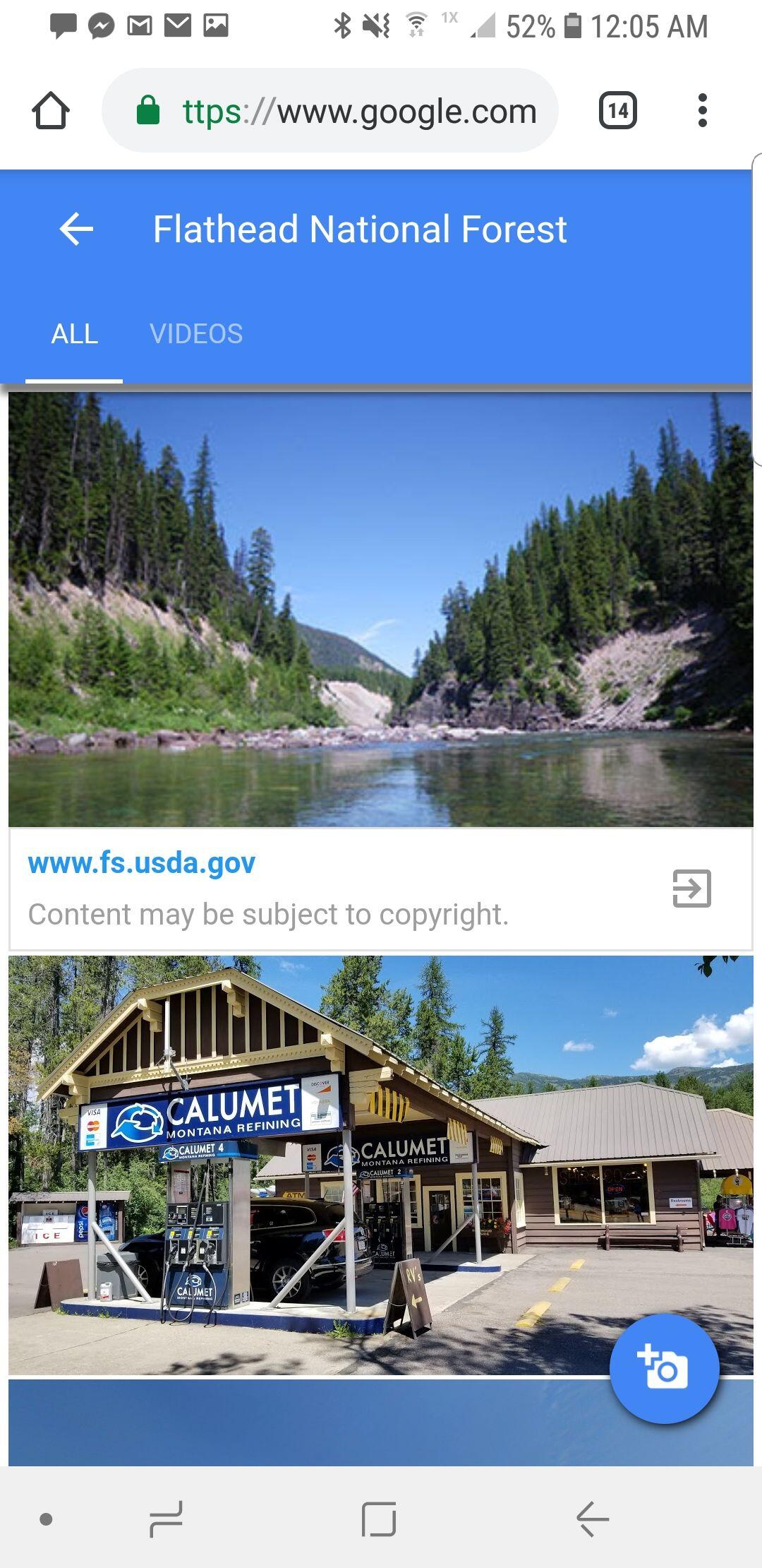 Picture of flathead national forest