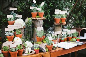 Succulent Escort Card Display