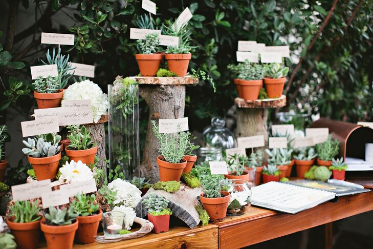 Succulent Escort Card Display