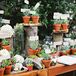 Succulent Escort Card Display