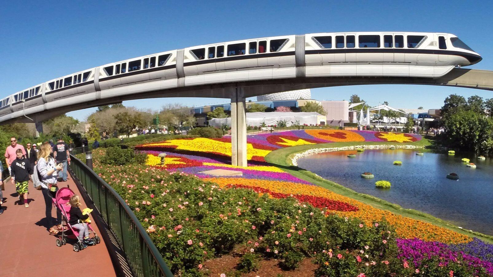 Picture of Disney Monorail and Bus Transportation 