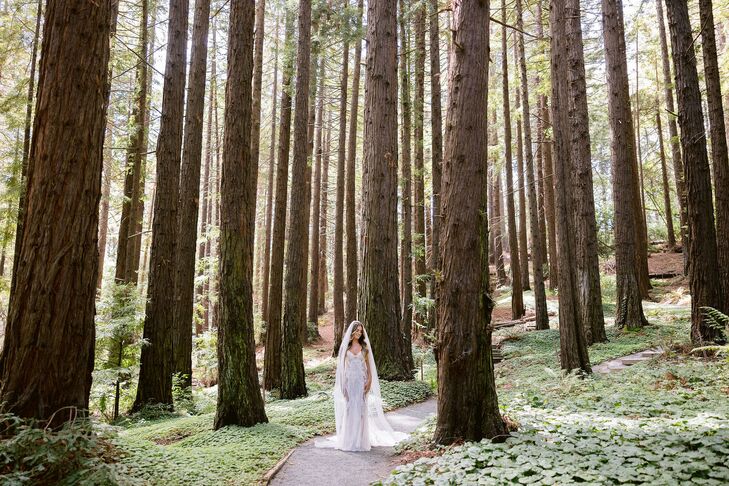 Bridal Portraits Among Redwoods at Berkeley Botanical Gardens in Berkeley, California