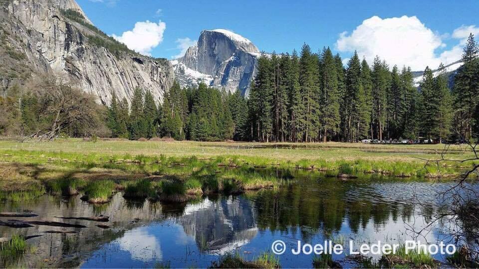 Picture of Yosemite National Park