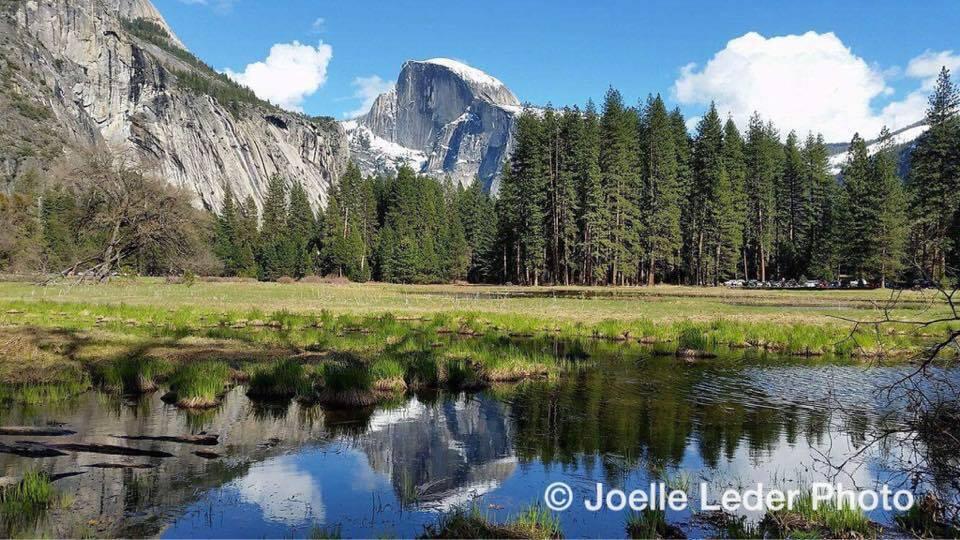 Picture of Yosemite National Park
