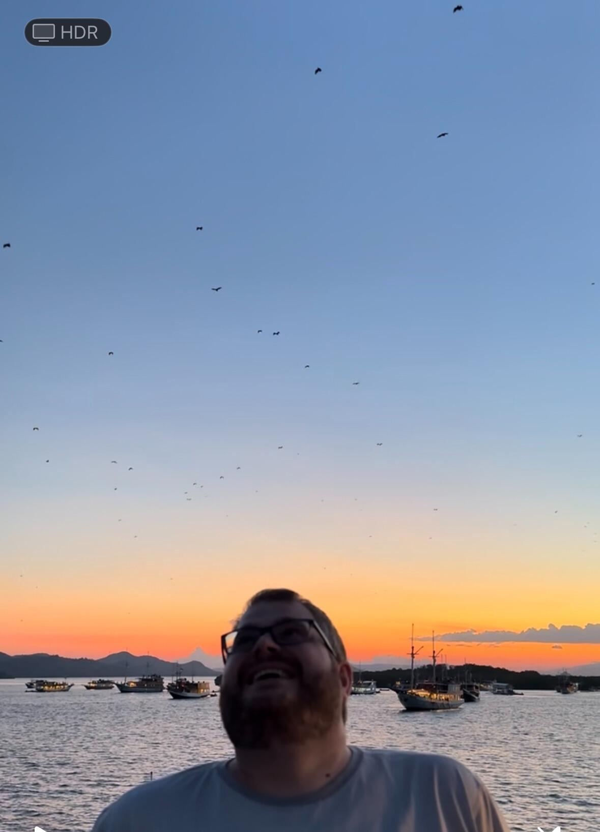 Picture of Flying foxes at Kalong Island
