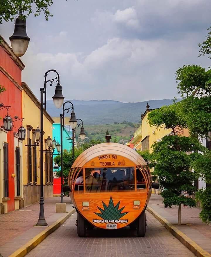 Picture of Tequila jalisco