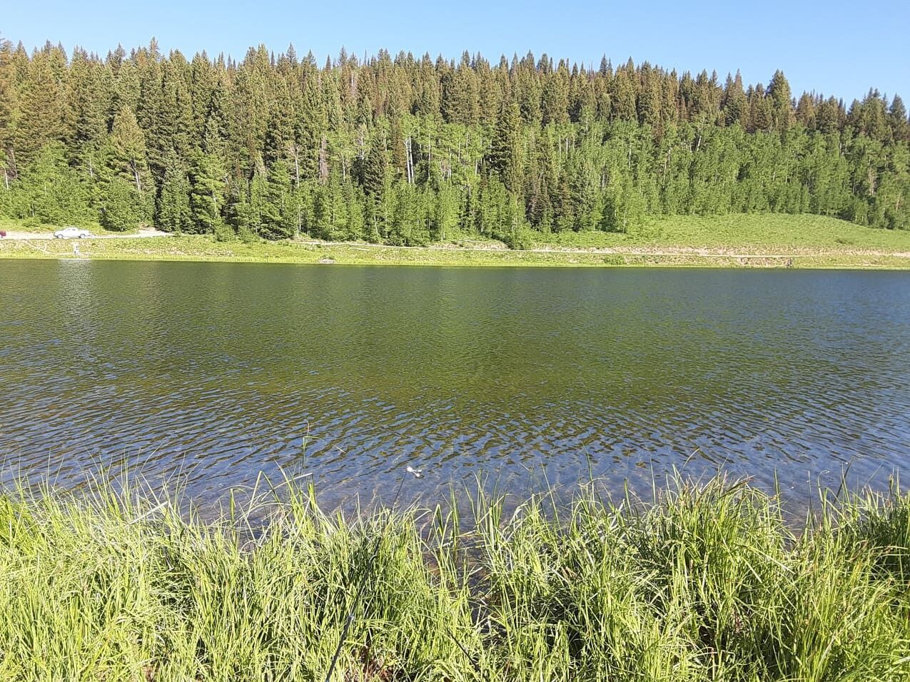 Picture of It Started With A Fishing Trip!