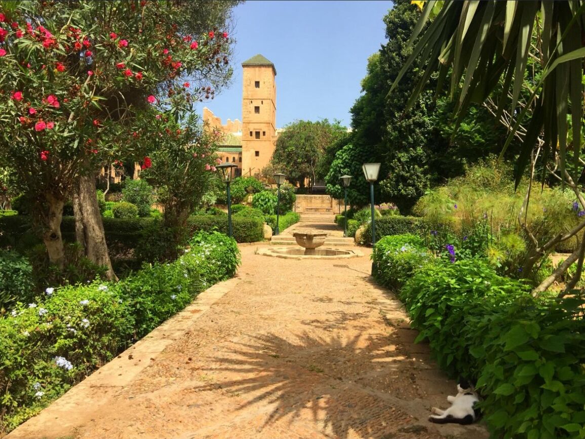Picture of Rabat’s Andalusian Gardens 🌸
