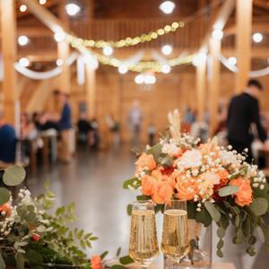 Gallery Photo 38