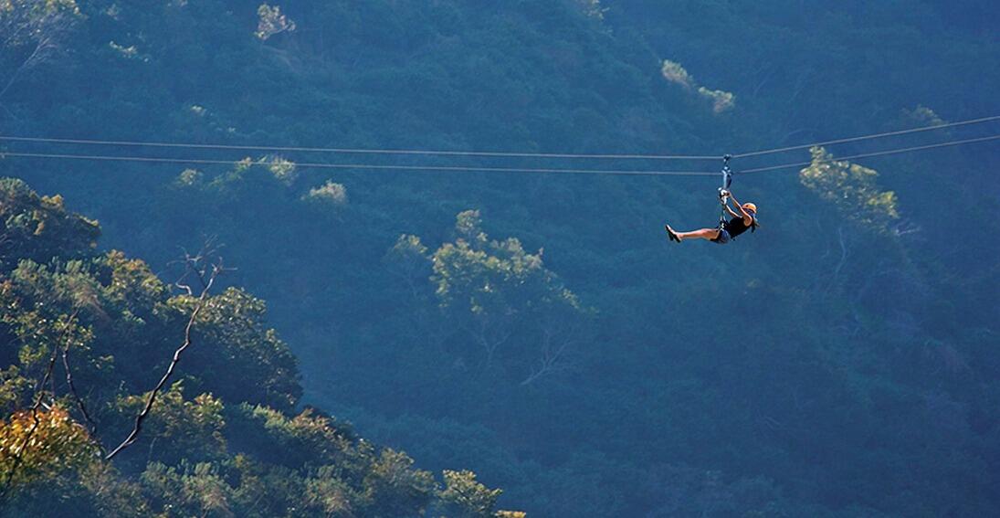 Picture of Zip Line Eco Tour