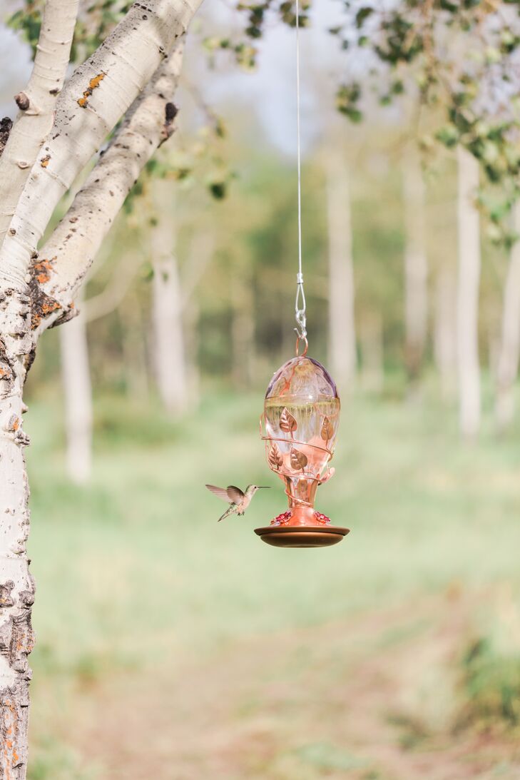Pink Hummingbird Feeders