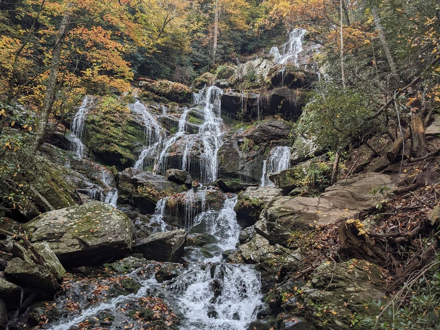 Picture of Explore Catawba Falls Trail w/ Waterfall