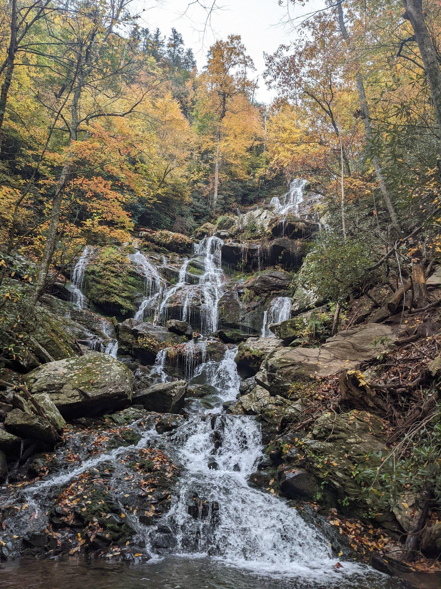 Picture of Explore Catawba Falls Trail w/ Waterfall