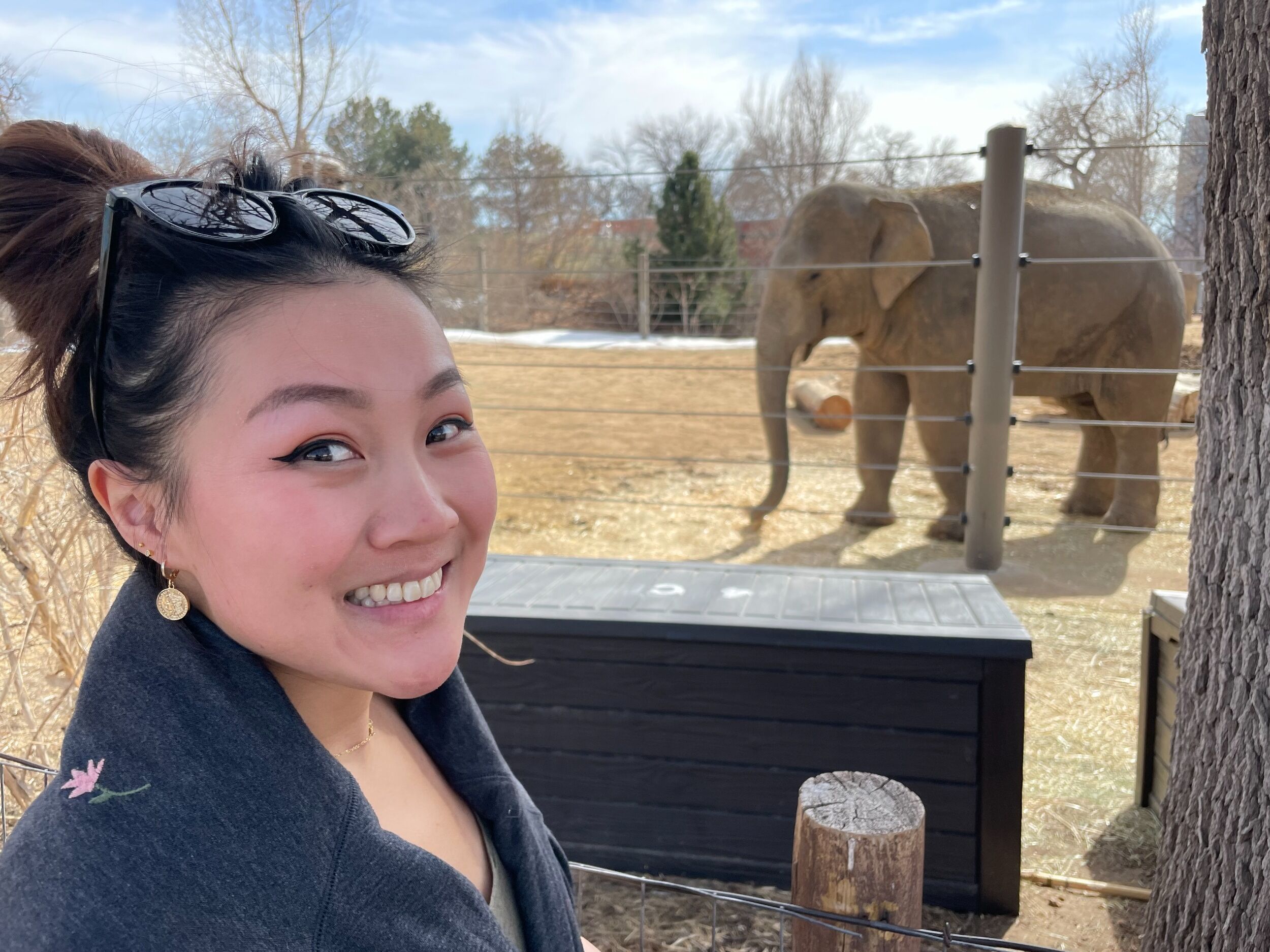 Picture of Denver Zoo