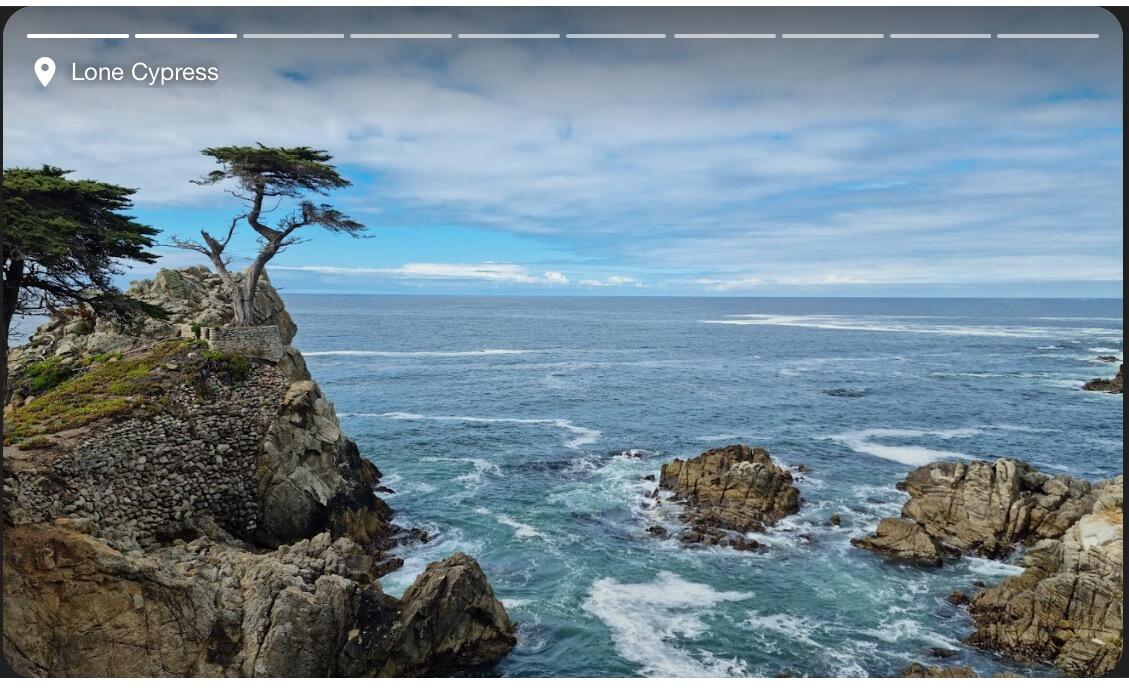 Picture of 17 Mile Drive / Pebble Beach