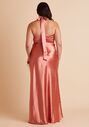 Birdy Grey Monica Dress Curve in Terracotta Halter Bridesmaid Dress - thumbnail - 3