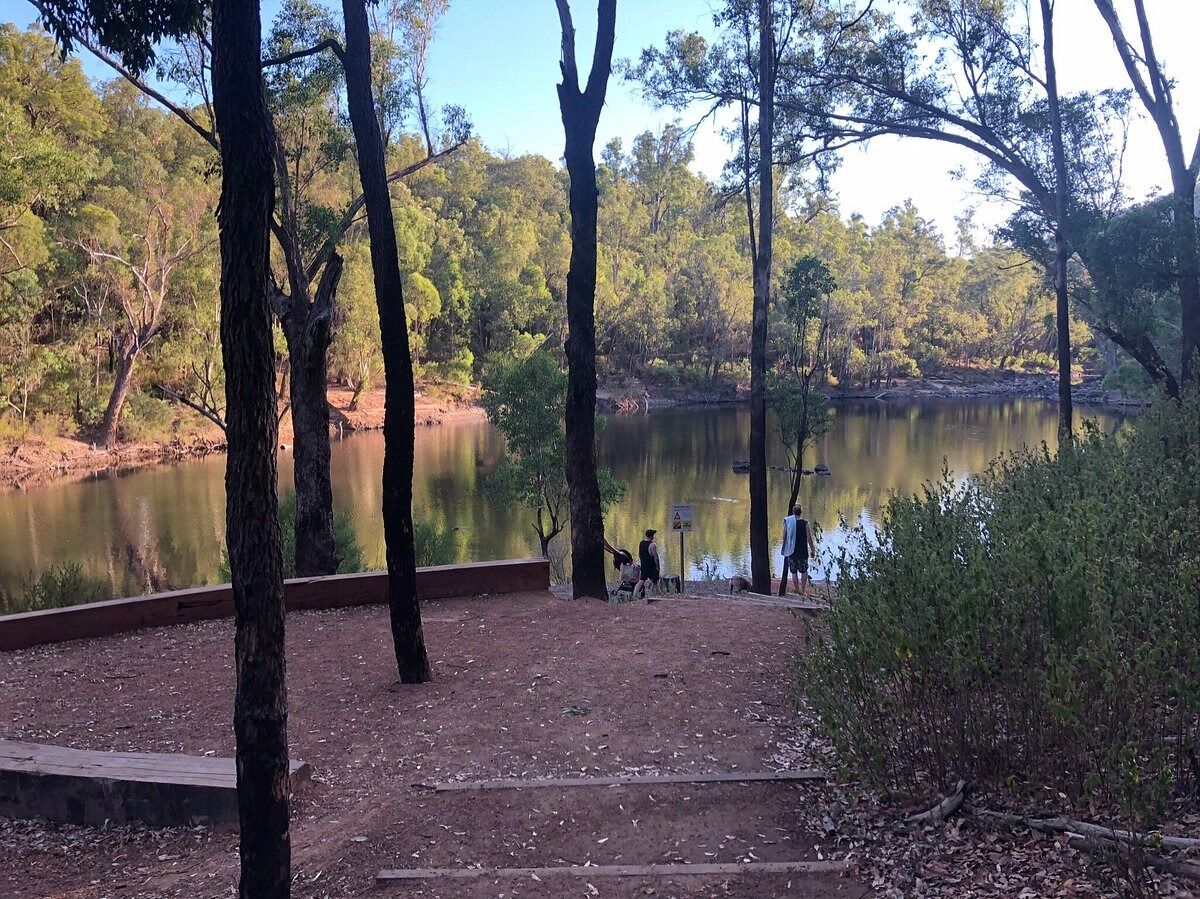 Picture of Lane Poole Reserve