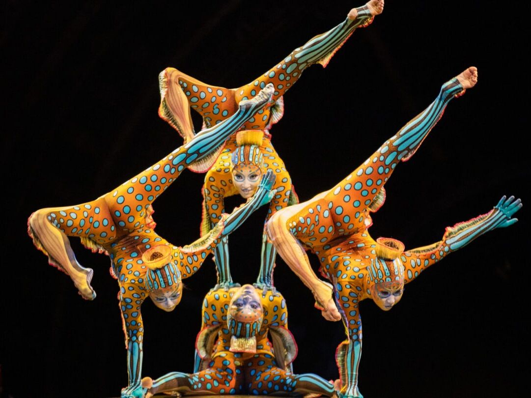 Picture of Cirque du Soleil