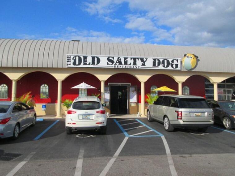 Picture of The Old Salty Dog 