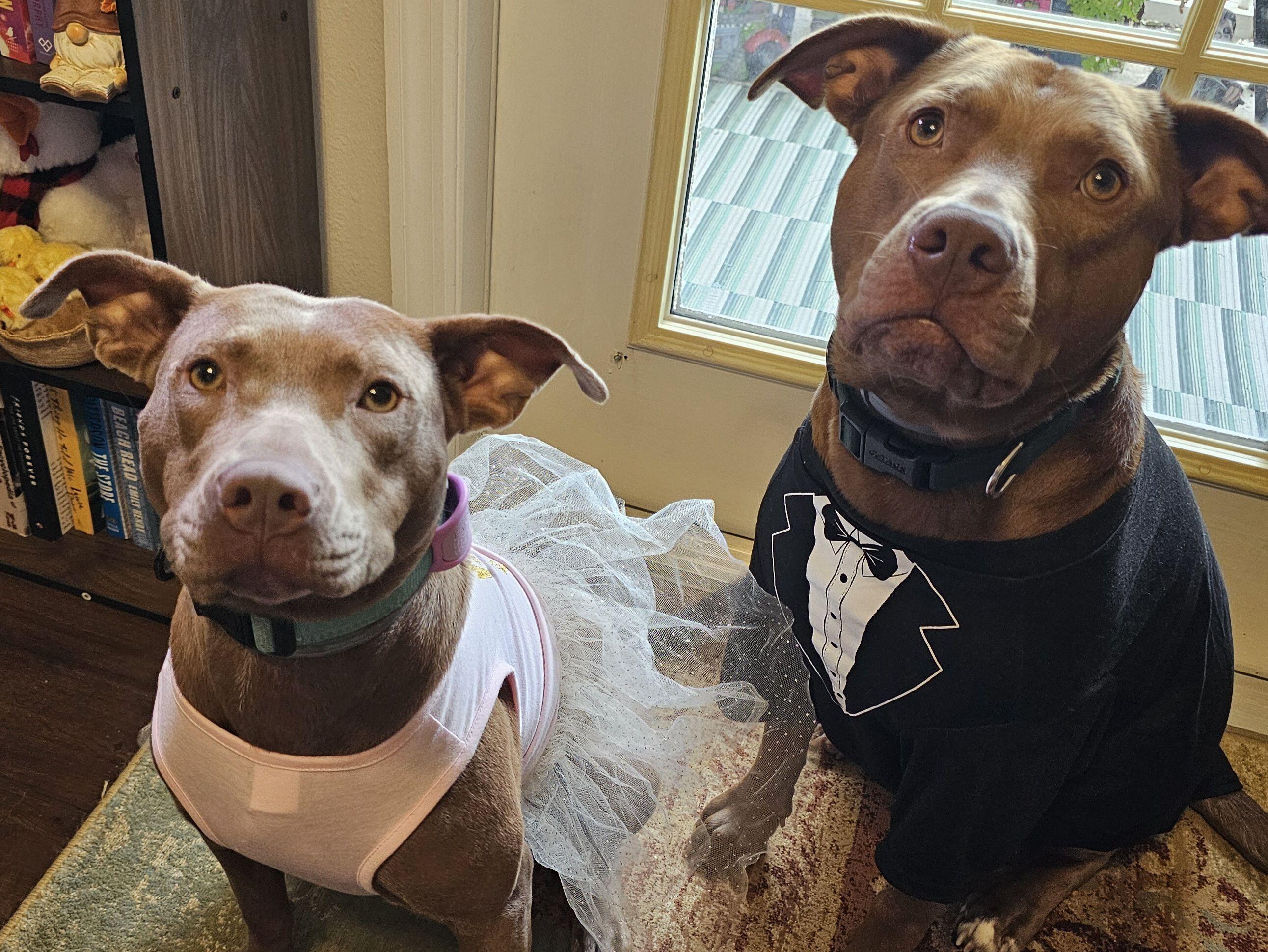 Picture of Yoshi And Lily