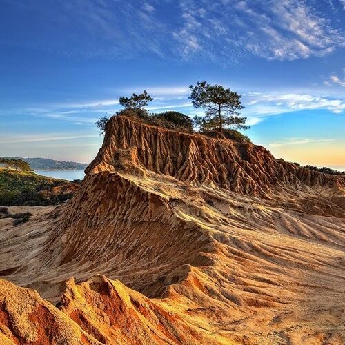 Picture of Torrey Pines State Natural Reserve