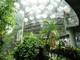 Picture of California Academy of Sciences