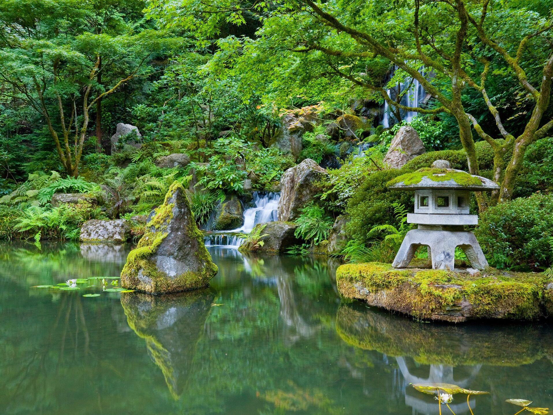 Picture of Portland Japanese Garden