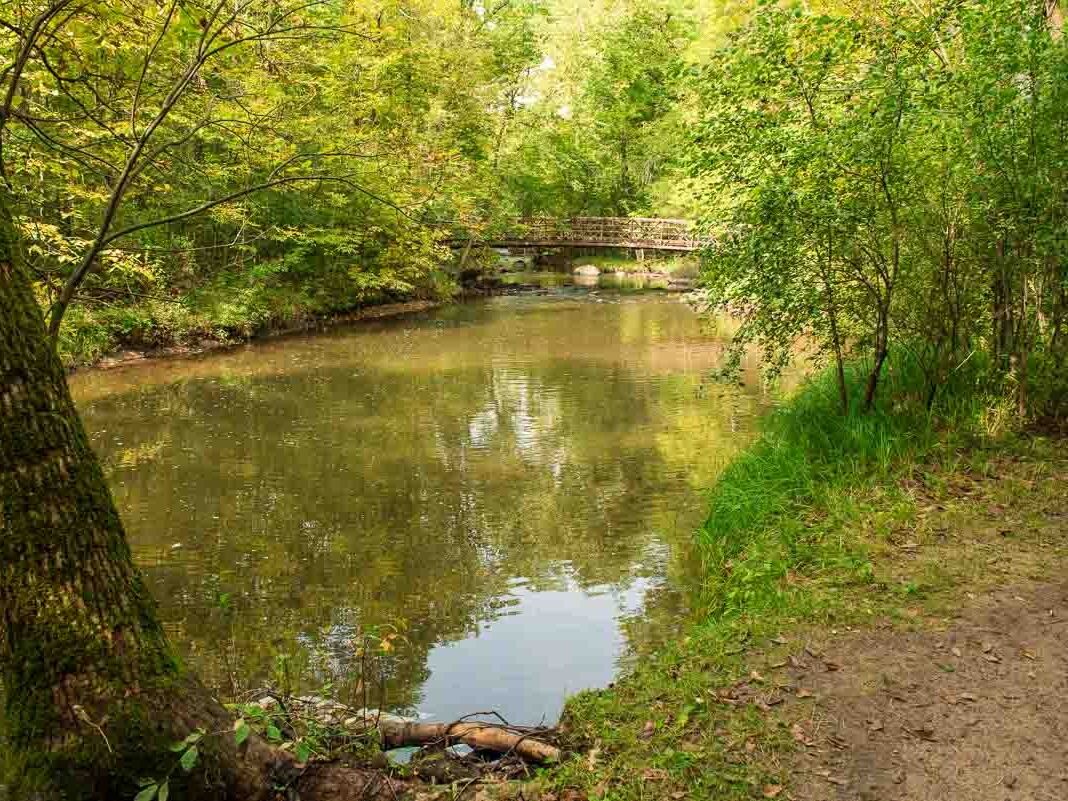Picture of Charles A. Lindbergh State Park