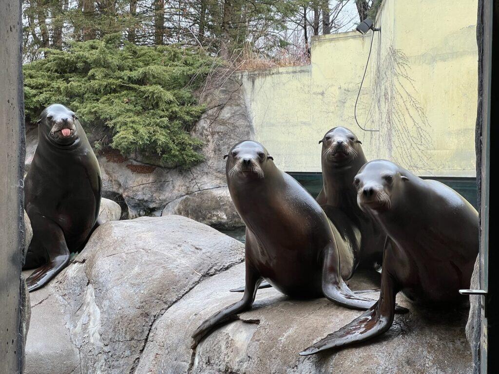 Picture of Seneca Park Zoo