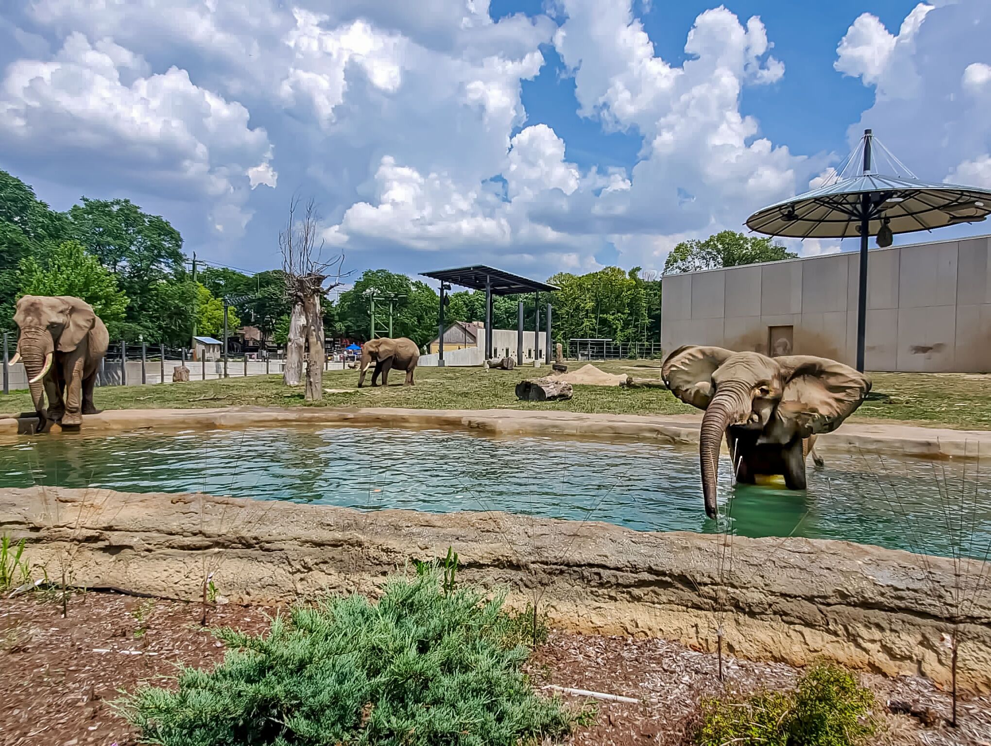 Picture of Milwaukee Zoo