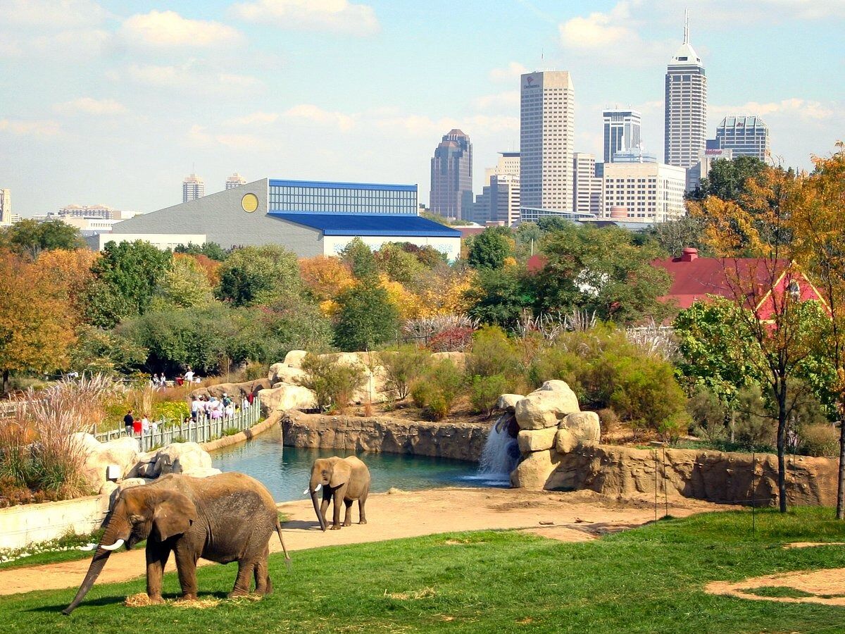Picture of Indianapolis Zoo